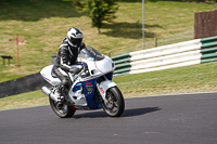 cadwell-no-limits-trackday;cadwell-park;cadwell-park-photographs;cadwell-trackday-photographs;enduro-digital-images;event-digital-images;eventdigitalimages;no-limits-trackdays;peter-wileman-photography;racing-digital-images;trackday-digital-images;trackday-photos